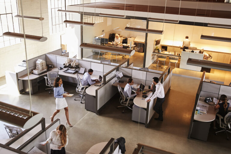 How To Build A Successful Career In SAP Consulting:  A Guide For Beginners