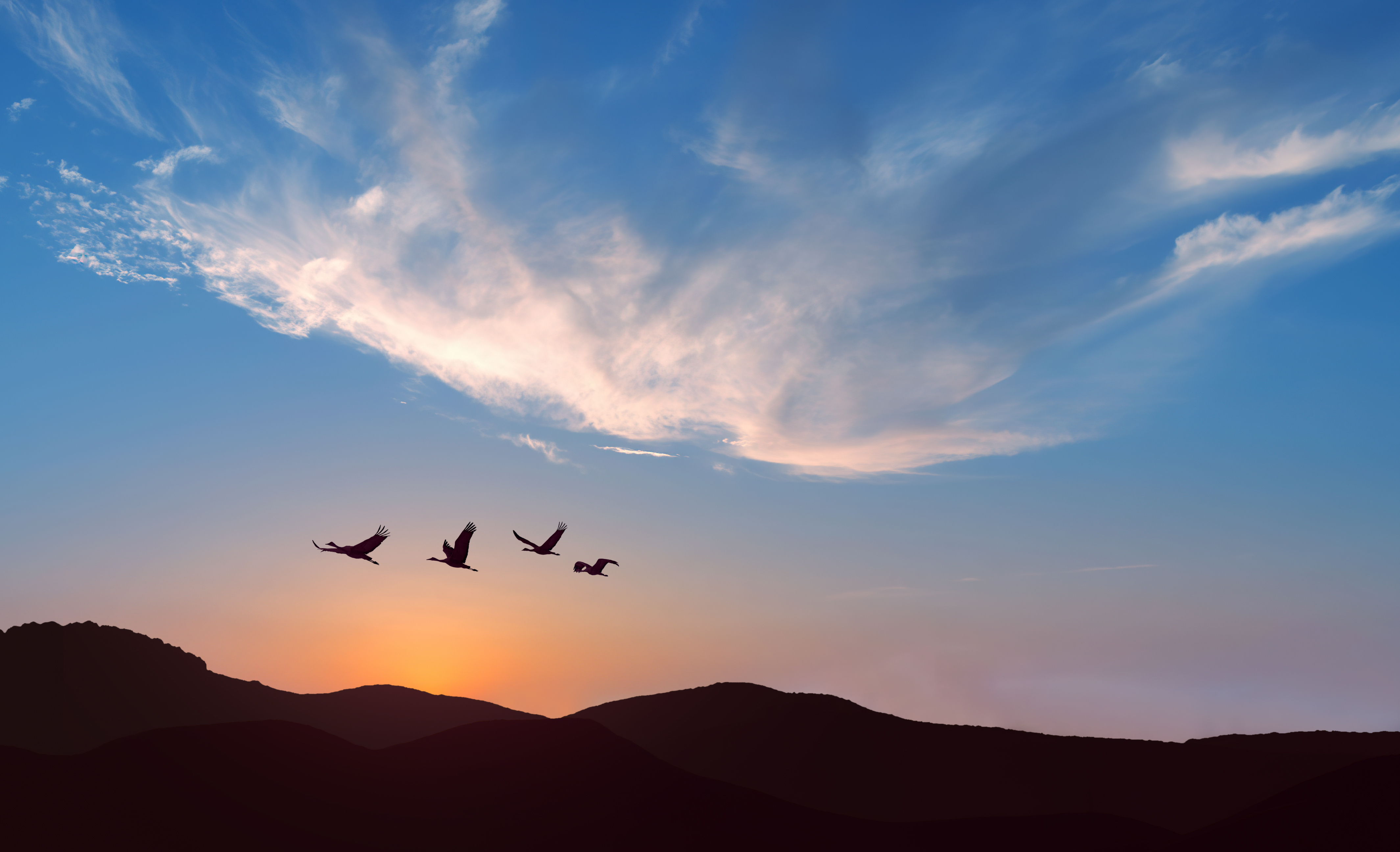 SAP ERP transformation